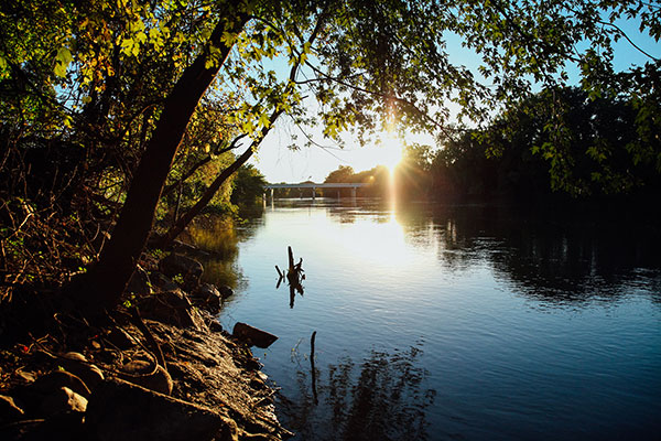 Minnesota River with tree at sunset