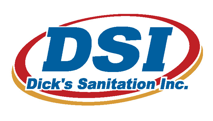 DSI Logo