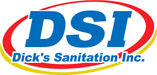 DSI Logo