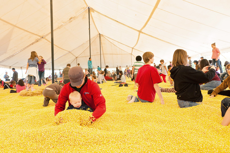 People playing in pit of corn kernals