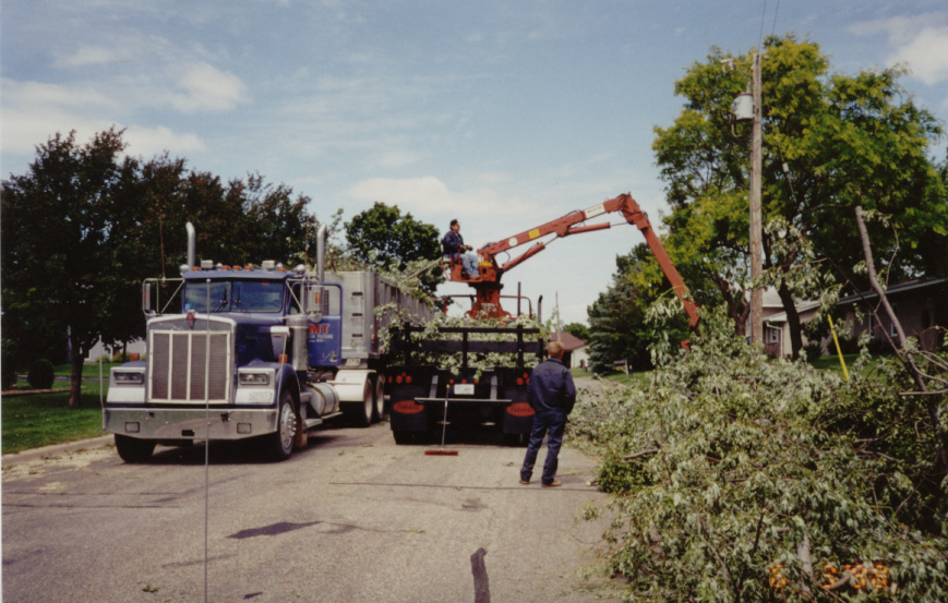 Photo of Public Works excavator clearing branches